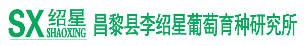 昌黎縣李紹星葡萄育種研究所,葡萄苗,葡萄苗木,新品種葡萄苗,紹星系列葡萄苗