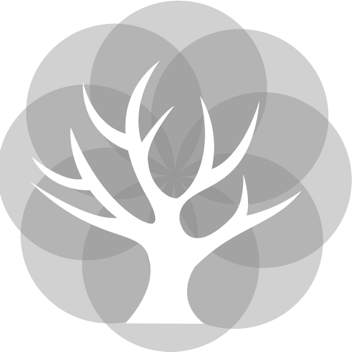 首頁 - 無錫青木信息科技有限公司