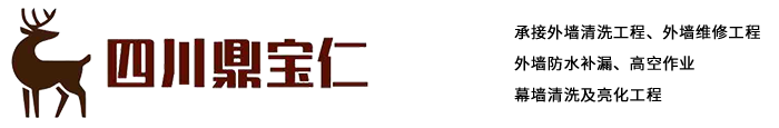 四川鼎寶仁外墻清洗、外墻維修