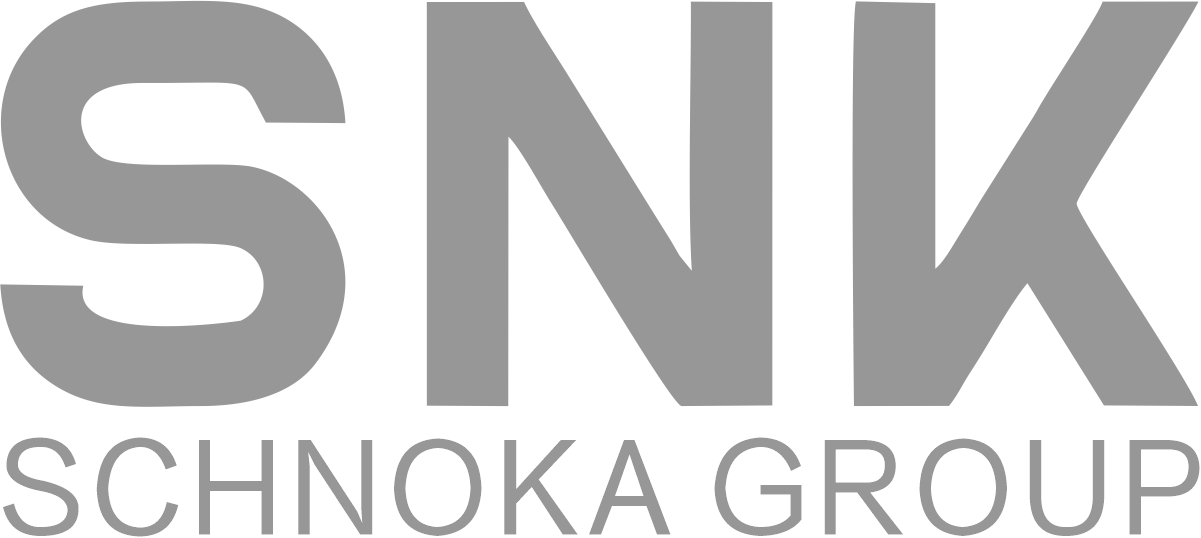 3D機器視覺系統-提供機器視覺檢測解決方案-SNK SCHNOKA GROUP