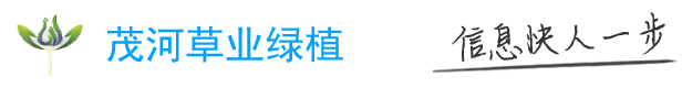 茂河草業綠植