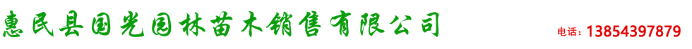 惠民縣國光園林苗木銷售有限公司-惠民速生白蠟小苗|惠民速生國槐小苗|山東速生國槐|山東刺槐|山東榆樹|山東椿樹|山東檉柳|惠民縣國光園林苗木銷售有限公司