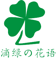 滴綠園藝-您身邊的綠植養護專家_綠植租擺_上海辦公室綠化！