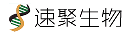 預制膠_轉膜儀_胎牛血清_廣州速聚生物科技有限公司