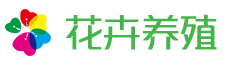 傳奇發布站-專業傳奇私服發布站-傳奇sf發布站