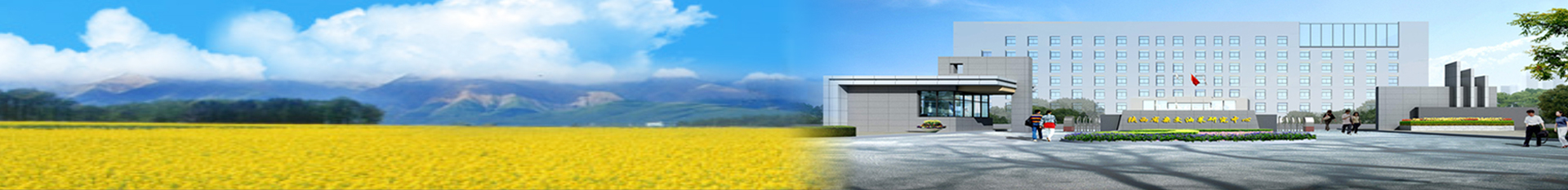 陜西省雜交油菜研究中心