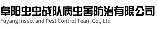 阜陽殺蟲滅鼠-阜陽除四害公司-消殺公司-阜陽蟲蟲戰隊病蟲害防治有限公司