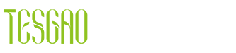 園豐電器,特斯高風扇