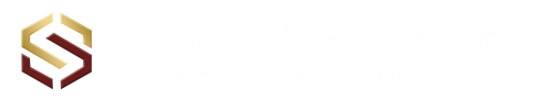 山東數源投資有限公司