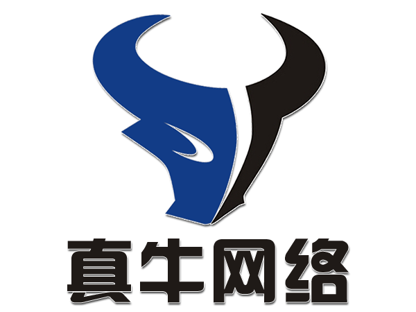 真牛網絡-互聯網服務專家-真牛網絡服務歡迎您