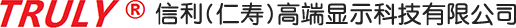 信利（仁壽）高端顯示科技有限公司
