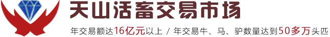 天山活畜交易市場,阿旗活畜交易市場，牲畜市場,天山活畜市場,阿旗活畜市場,牛交易、牛市場交易、牛市場、羊市場、牛行、驢馬交易、羊交易