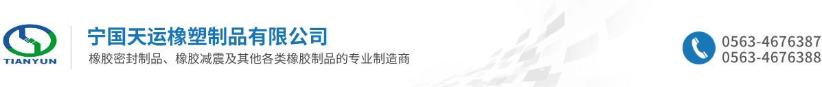 寧國天運橡塑制品有限公司