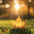 鴻科思創知識分享-公文寫作-公文模板-素材范文-勤思創文檔庫