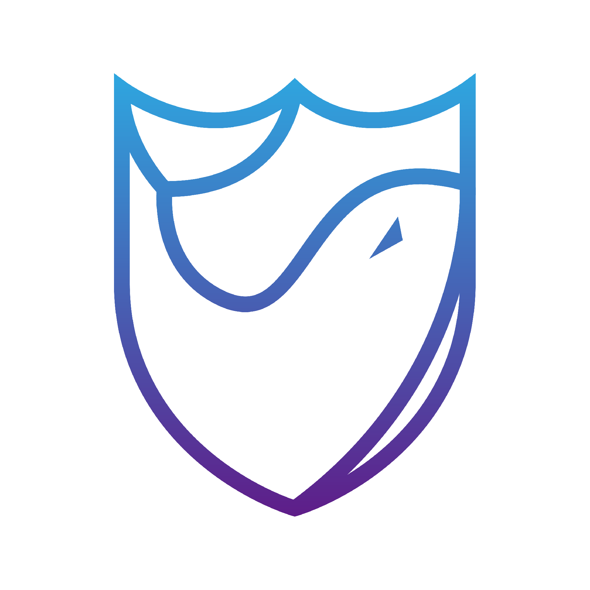 鯨之云盾，守護您的互聯網安全