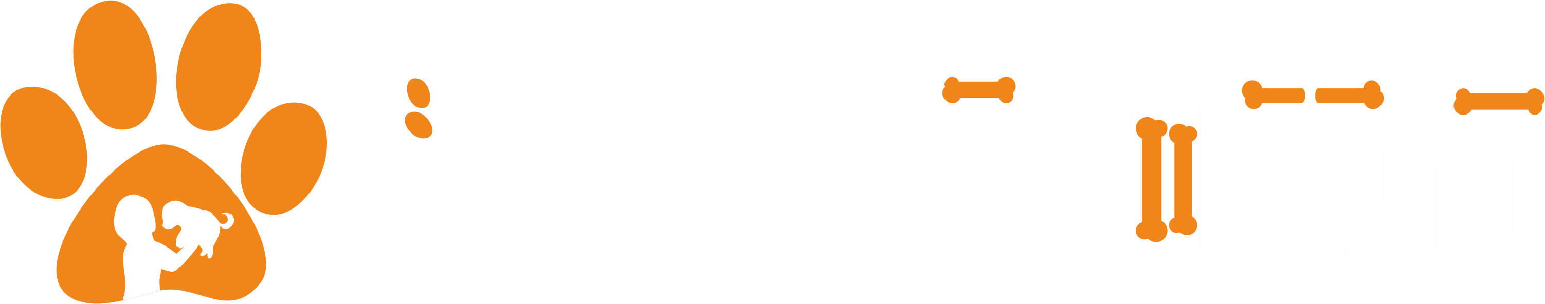 汪星人寵物旅行-您身邊的寵物旅行專家