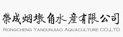 榮成煙墩角水產有限公司官網