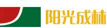 建筑模板廠家_建筑模板批發_建筑模板供應-陽光成林木業