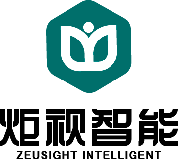 智能識別算法_系統平臺架構_智能分析設備_安徽炬視科技有限公司