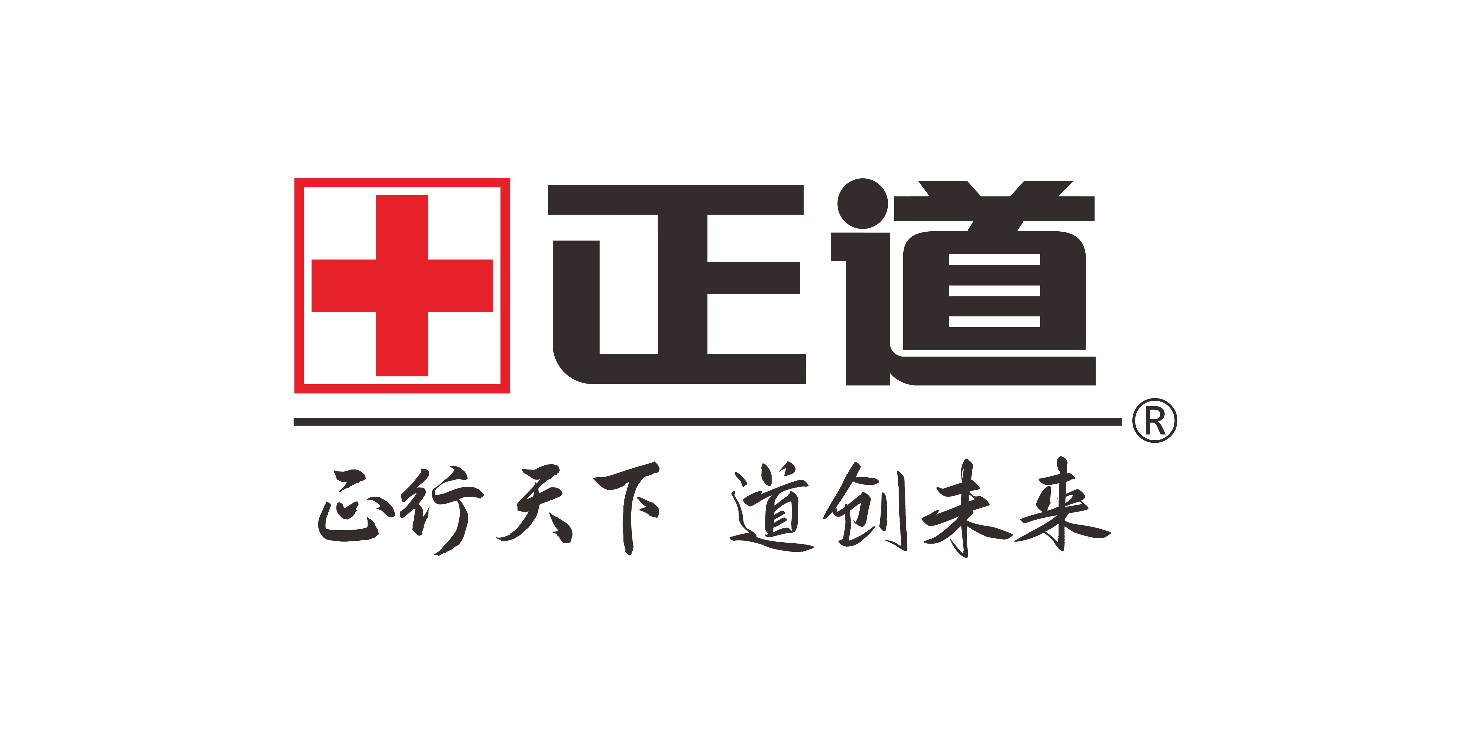 青島正道藥業有限公司