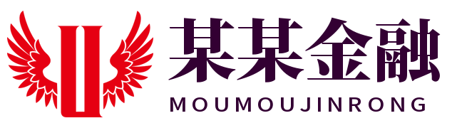 某某金融有限公司