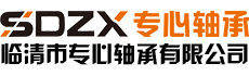 專業塑料保持架廠家-臨清市專心軸承有限公司