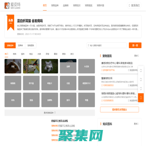 愛寵網您身邊養寵指導網 - 愛寵網