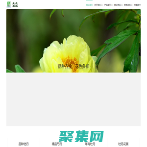 菏澤牡丹芍藥網-菏澤市德勝祥生態農業專業合作社