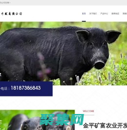 金平礦富農業開發有限公司