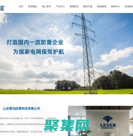 山東雷訊防雷科技有限公司