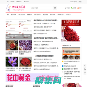 藏紅花_藏紅花的功效_藏紅花價格多少錢一克_西紅花怎么吃 - 伊朗藏紅花網