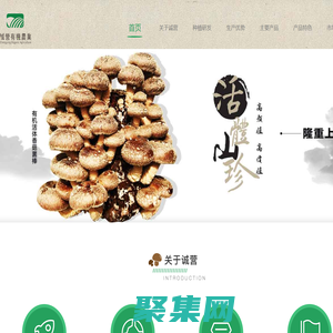 誠營有機農業-首頁