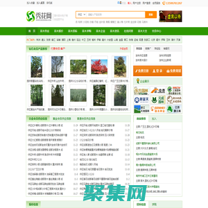 秀花網-綠化苗木花卉推廣B2B網站
