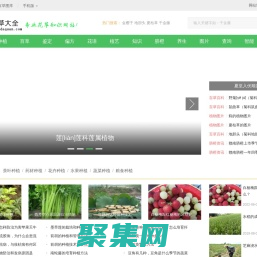 植物百科_百草大全