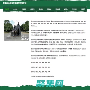 重慶佰科藍亞信息科技有限公司