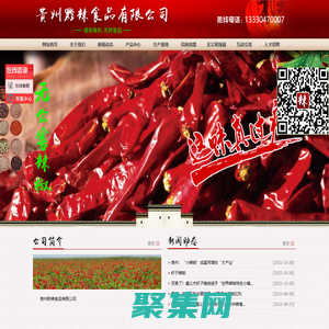 貴州黔辣食品有限公司