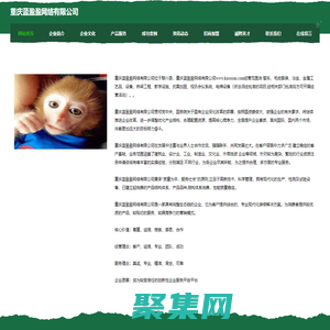 重慶藍盈盈網絡有限公司