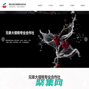 煙臺大櫻桃,煙臺大櫻桃樹苗,煙臺大櫻桃苗木合作社,煙臺兄弟大櫻桃專業合作社