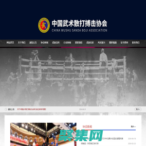 中國武術散打搏擊協會