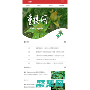 重樓的功效與作用-重樓種植技術-重樓網