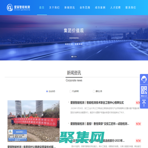 浙江愛麗智能檢測技術集團有限公司