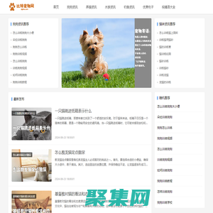 比特寵物吧 寵物資訊 句子 祝福語大全