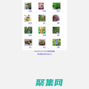中藥藥用價值網