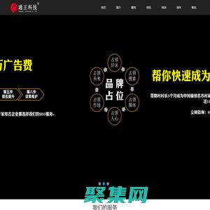 SEO·品牌推廣·網絡營銷策劃·王通