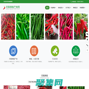 河南辣椒產地網-河南辣椒|河南花皮小辣椒|河南辣椒產地|河南三鷹椒八號|河南干辣椒|二紅辣椒|干綠椒|河南紅太陽辣椒|河南辣椒價格行情|河南朝天椒