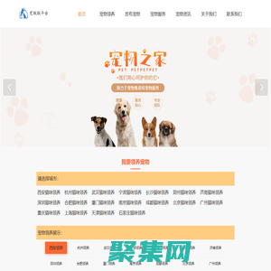 寵聯聯貓咪狗狗寵物領養平臺