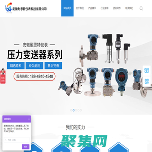 安徽耐思特儀表科技有限公司