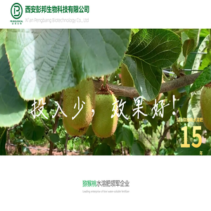 南通圓龍織物有限公司,造紙毛毯,無毯痕毛毯,多層復合底網毯,圓龍織物