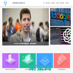 萬盟網絡 承接官網開發 系統定制