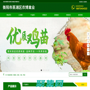 衡陽市蒸湘區農博禽業養殖孵化場 - 衡陽綠殼蛋雞_衡陽快大型肉雞_衡陽土雞